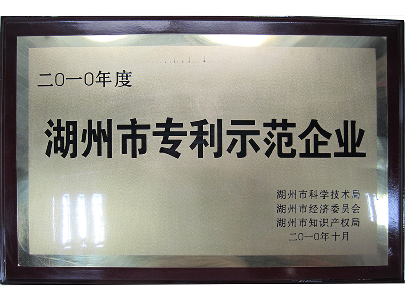 2010湖州市專利示范企業